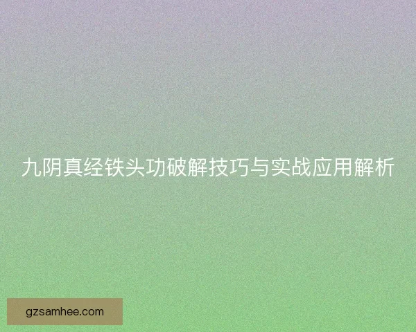九阴真经铁头功破解技巧与实战应用解析 九阴真经铁头功破解技巧与实战应用解析