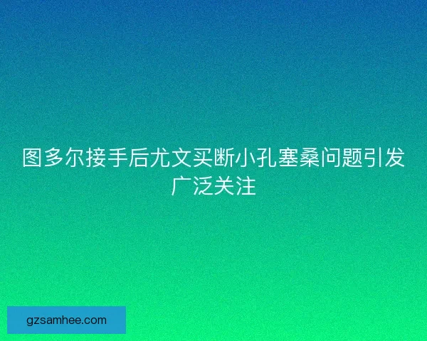 图多尔接手后尤文买断小孔塞桑问题引发广泛关注